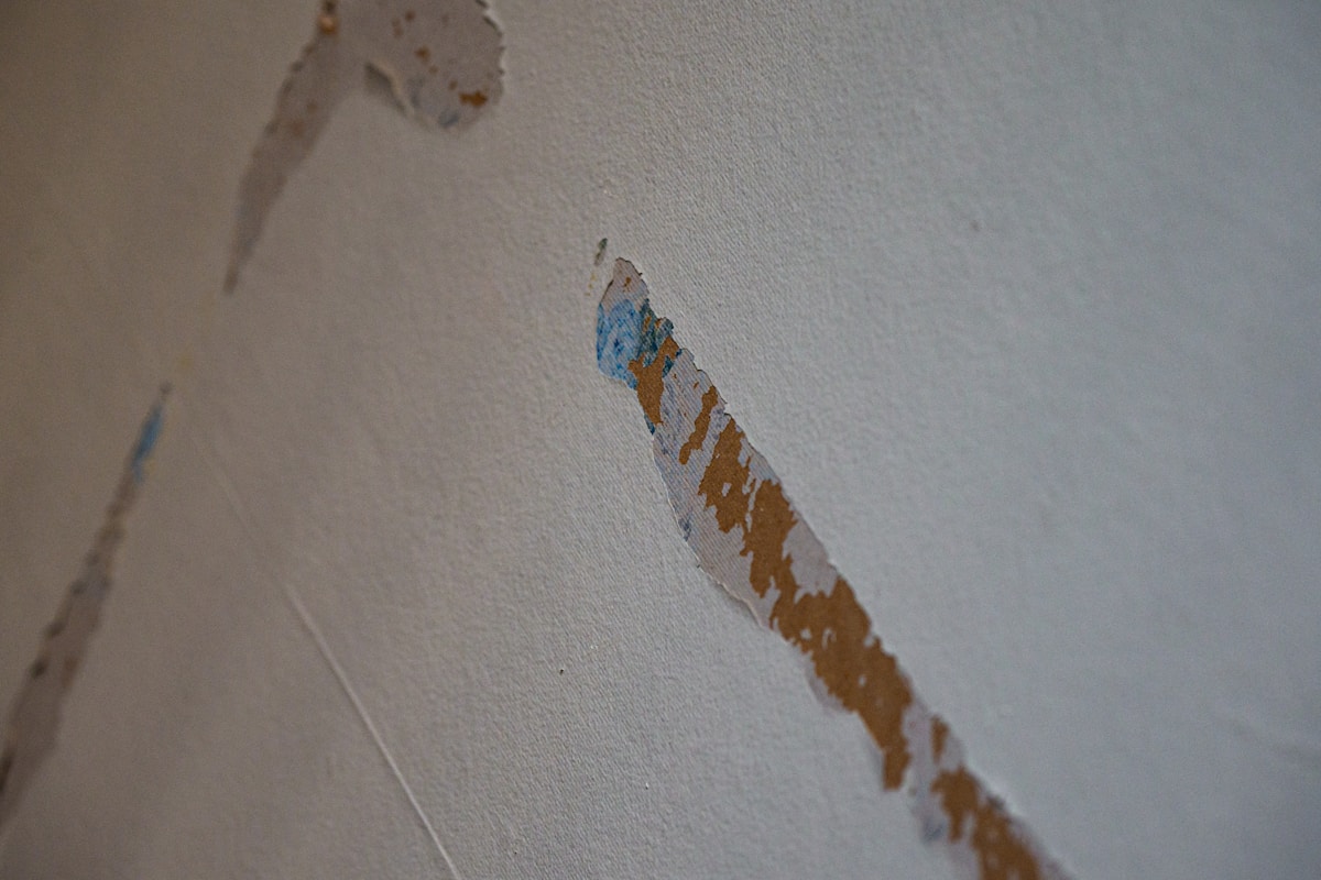 Flood Cleanup service in Quincy, MA